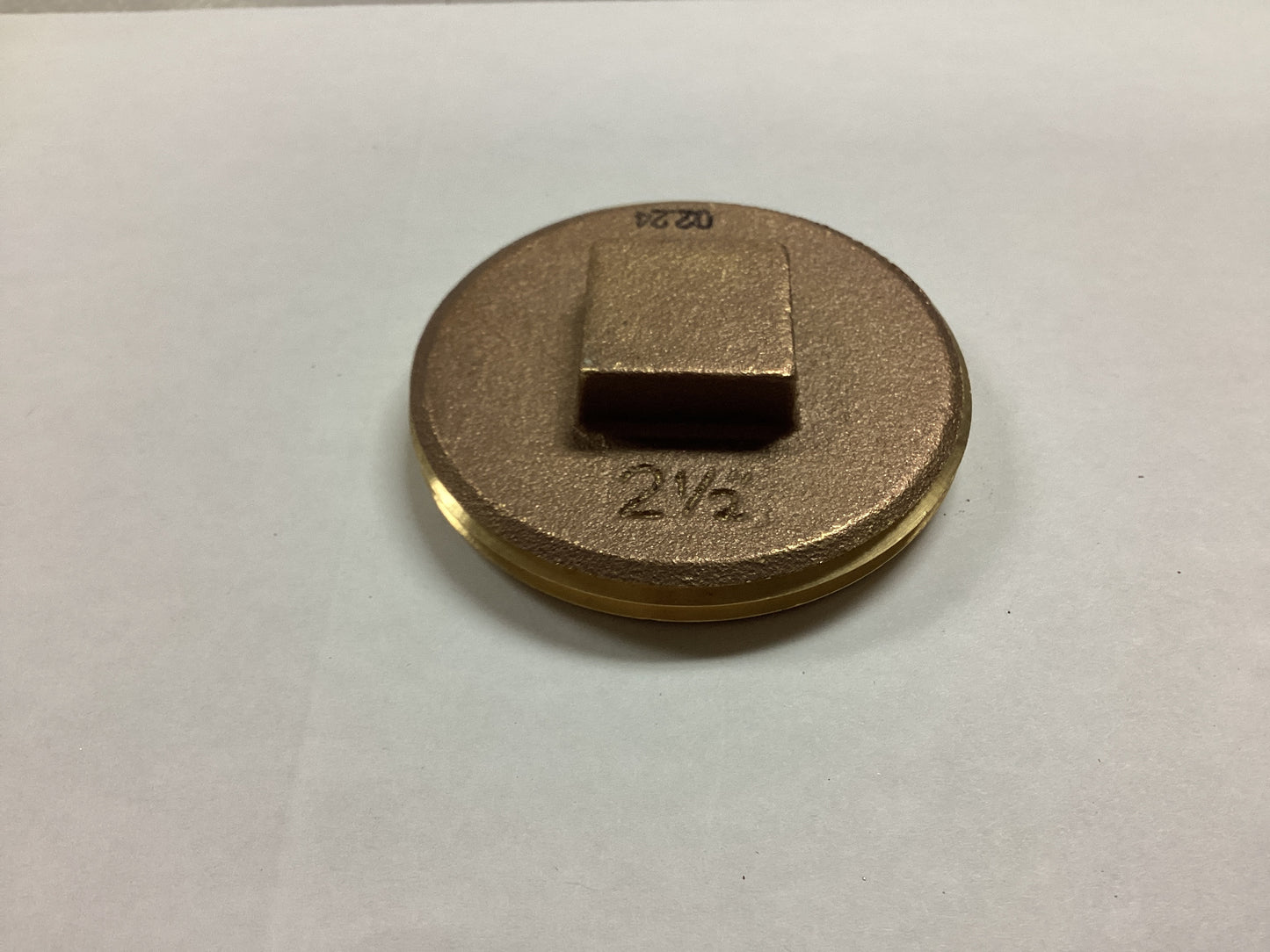 2 1/2" Raised Head Plug Brass 2424204